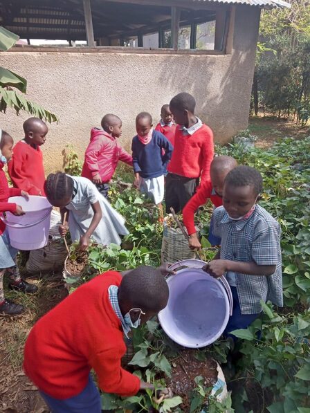 Nasio Trust (8) — sankalpa supported activity