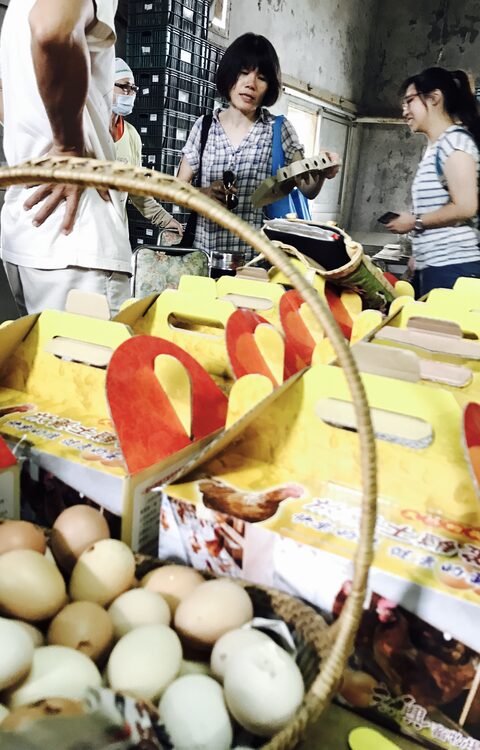 Environment Animal Society Taiwan (10) — sankalpa supported activity