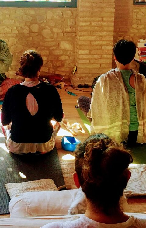 Ayurveda Corner Yoga Retreat (2)