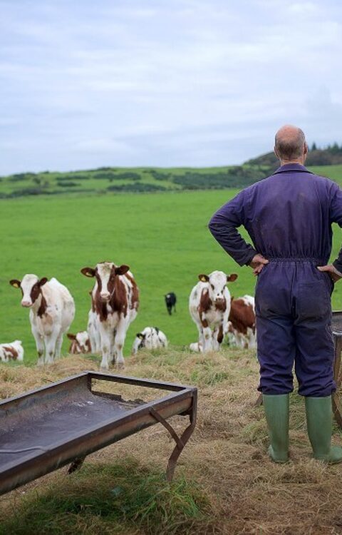 The Ethical Dairy (4) — sankalpa supported activity